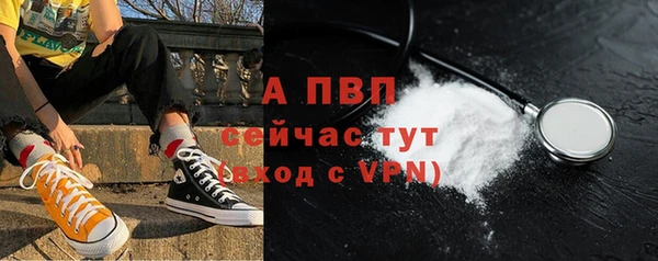соль ск Белокуриха