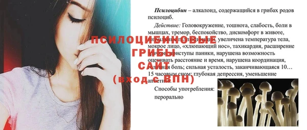 соль ск Белокуриха